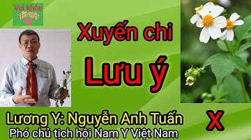 Xuyến chi chữa bệnh gì tốt nhất - Lương Y: Nguyễn Anh Tuấn