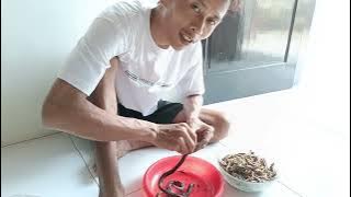 Cooking eel with green chilies || Requested by my husband