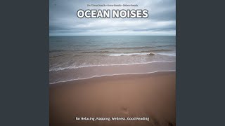 Ocean Noises, Part 62