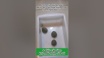 4 điều cần làm khi mới nhận rùa về #xomrua #onhachoimotminh #ruacanh #nuoirua