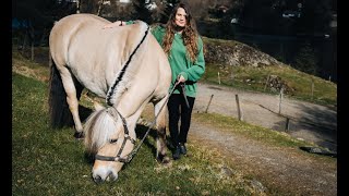 The Norwegian Fjord Horse