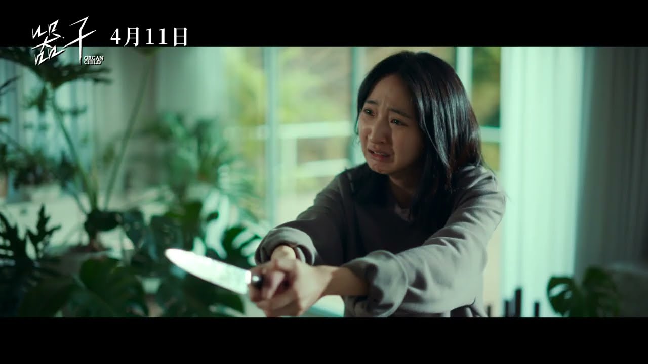 Trailer de A Criança Roubada