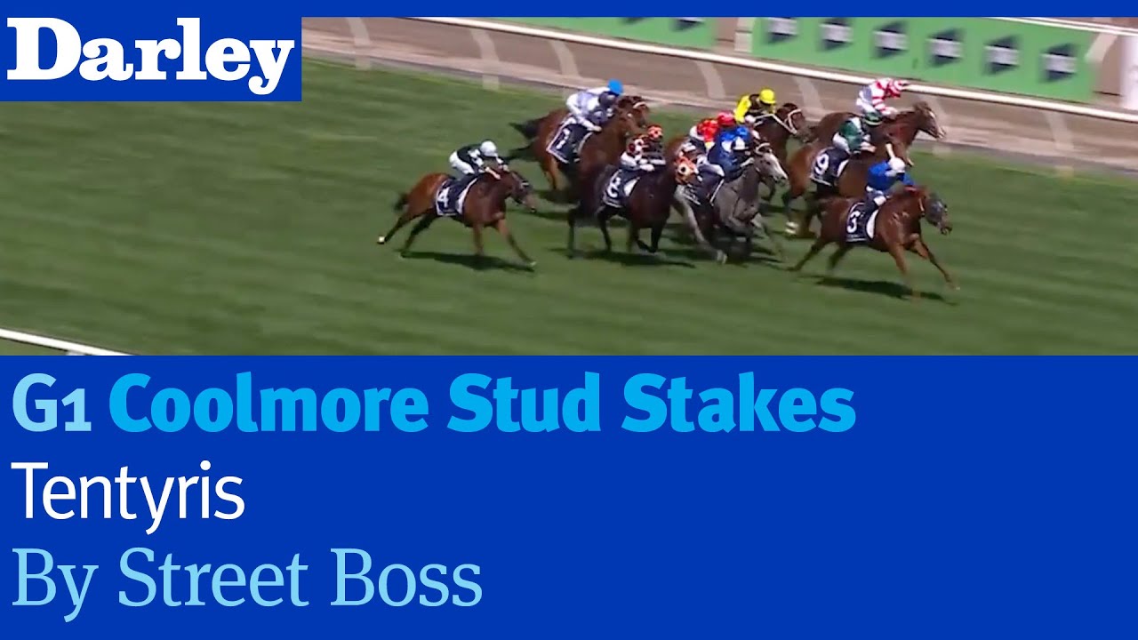 Tentyris от Street Boss побеждает в скачках G1 Coolmore Stud Stakes во Флемингтоне