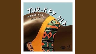 Turkey Nla