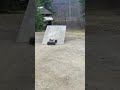 Sweet RC Front flip! #rc #rcbasher #rcjumps