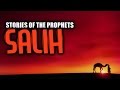 Salih (علیه السلام) [Camel Of Allah]