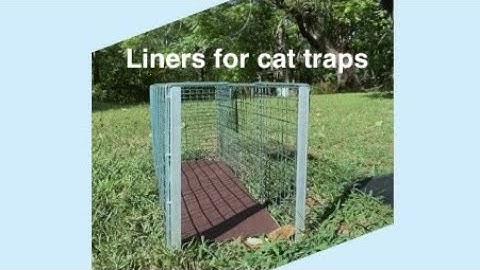 Liners for cat traps (TNR) #tnr #cat #cats