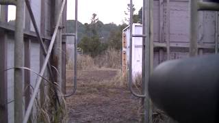 【東京シカクイ】12／30印西ヘッドショット3 screenshot 4