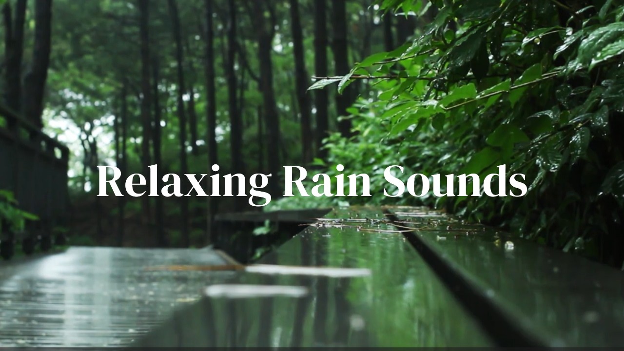 Rainy Forest Walk 4K 🌧️ | Relaxing Nature Sounds for Stress Relief ...