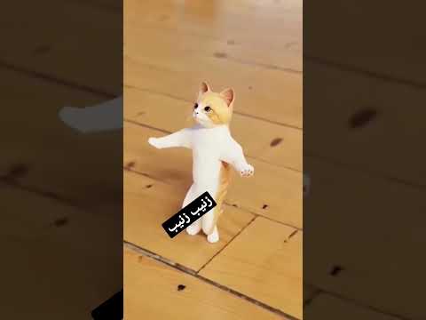 حسب الطلب زينب وطلب مستمر مصر عمان العراق الجزائر تركيا