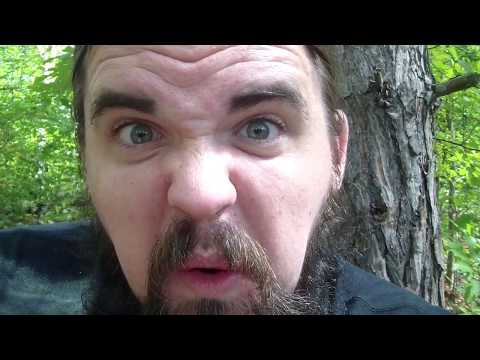 Lekvár - Lekvár
