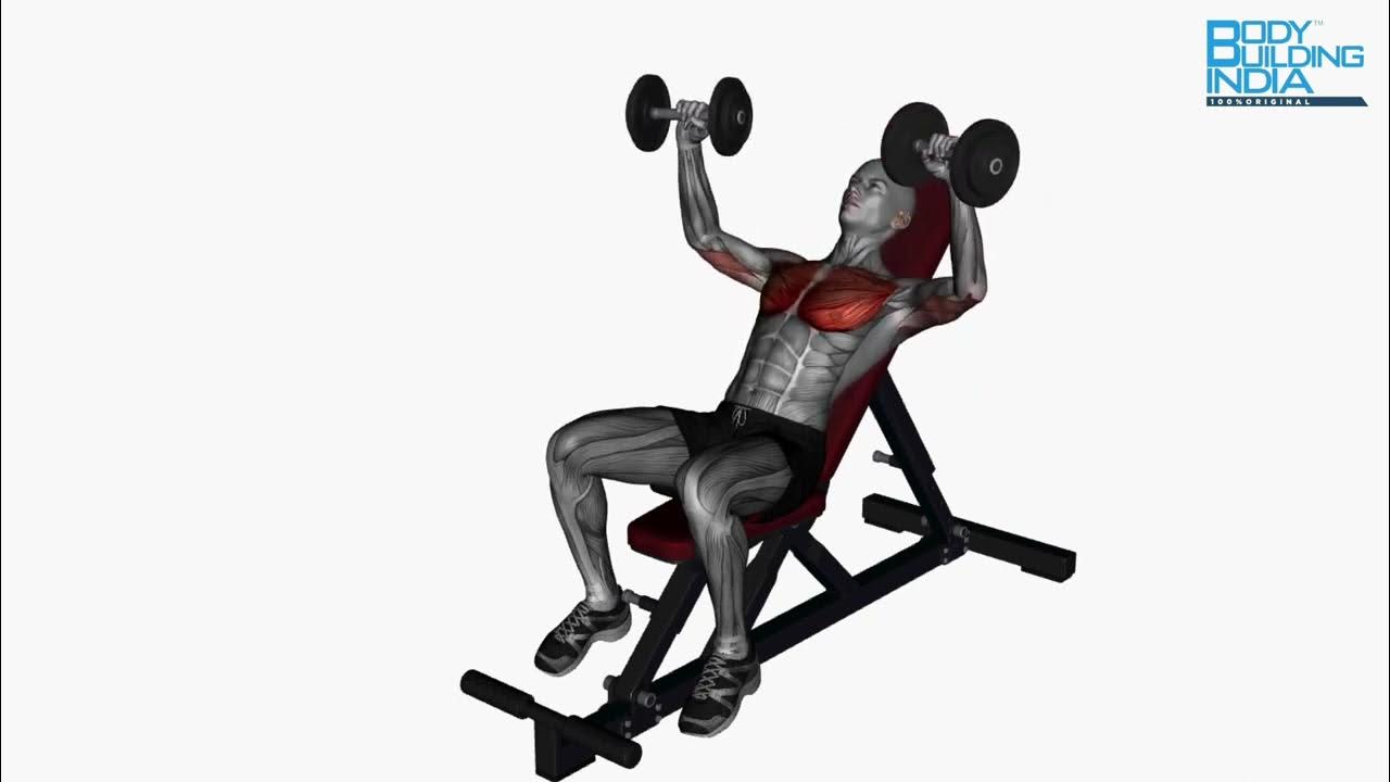 Chest Workout Exercise 22 Dumbbell Chest Press Incline Bench