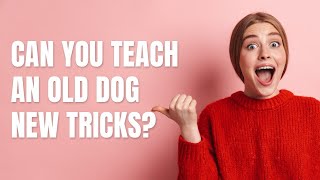 Can my dog learn to HUG? #dogtricks #chocolatelabrador #funnydogvideo