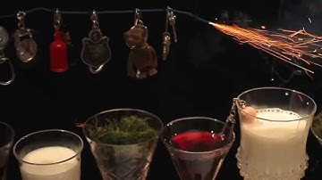 IEPI - Veronica Torr