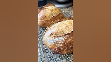 Dutch Oven vs. Bread Oven Sourdough Bake-Off #sourdough #breadbaking #viraltiktok