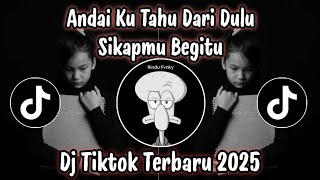 Download Lagu DJ ANDAI KU TAHU DARI DULU SIKAPMU BEGITU - DJ TIKTOK TERBARU YANG KALIAN CARI  !! MP3