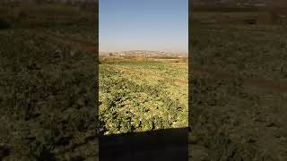 Hizli Tirn Ckti Galiba Ilk Binen Biz Olduk 😎😎