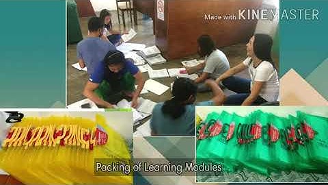 Modular Distance Learning Pilot Testing