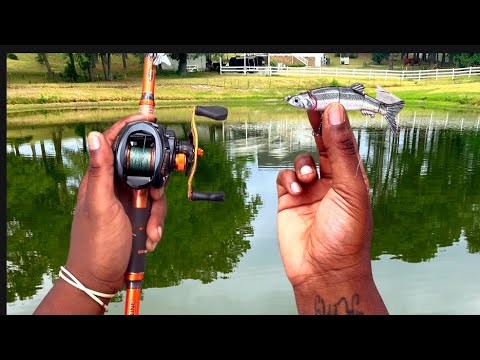 BASS FISHING With MINI GLIDE BAIT For POND MONSTERS ! @Fishingwithbushman