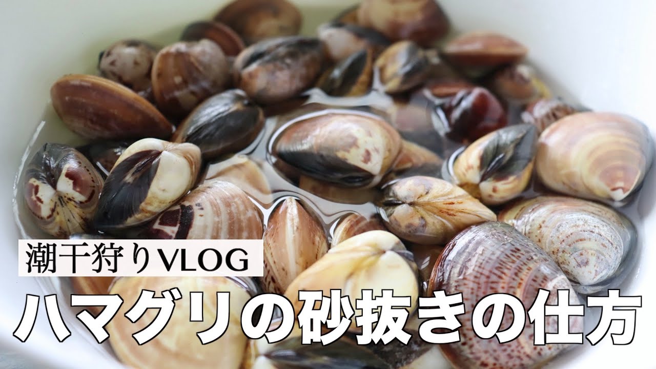 料理の基本 潮干狩りからハマグリの砂抜き方法をご紹介 How To Remove Sand From Clams Youtube 料理の基本 潮干狩りからハマグリの砂抜き方法をご紹介 How To Remove Sand From Clams Youtube