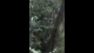Sasquatch Vocals