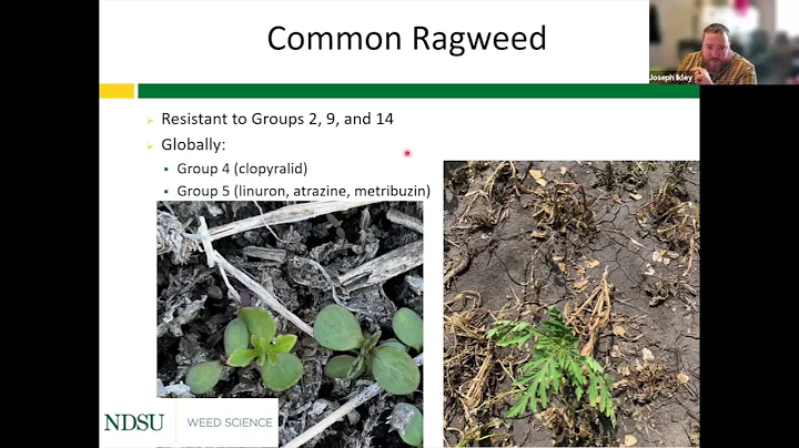 War Against Weeds in Soybean - 2026 Getting it Right Soybean Series