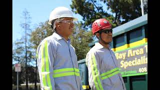 Best Trees Pruning in San Jose CA - Bay Area Tree Specialists