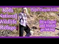Quartzsite AZ, Kofa, Palm Canyon