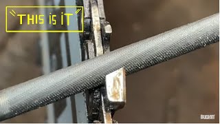 How to sharpen chainsaw chain, with just a file . CLOSE UP VIEW! screenshot 3