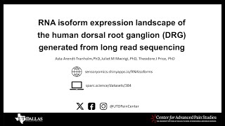 Beyond the Code: Exploring the Influence of RNA Splicing on Pain Pathways