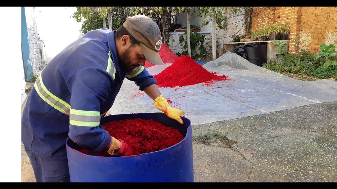Confira como é feita serragem colorida dos tapetes das Festas de Agosto em São Roque