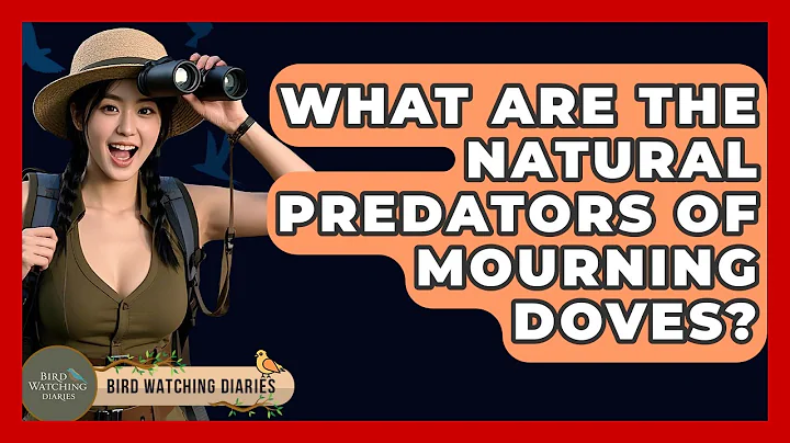 What Are The Natural Predators Of Mourning Doves? - Bird Watching Diaries