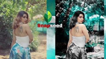 Snapseed Moody Grey Effect | Snapseed Photo Editing - [Niraj Editz] #moodygrey