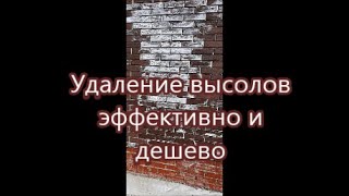 Удаление высолов эффективно и дешево