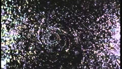 Ludwig Prandtl Historical Flow Visualization Film