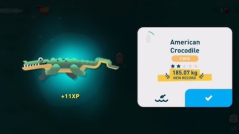 Creatures of the deep - American Crocodile Location