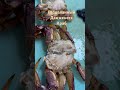 Разделали живого краба и приготовили к отправке покупателю