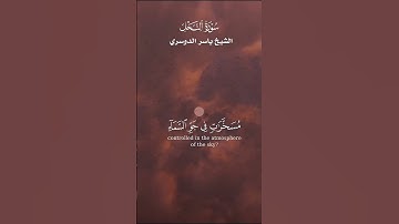 أَلَمْ يَرَوْا إِلَى الطَّيْرِ مُسَخَّرَاتٍ فِي جَوِّ السَّماء_تلاوة من سورة النحل_الشيخ ياسرالدوسري