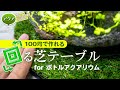 簡単100均DIY！回る芝テーブルでボトルアクアが360度見渡せる！メンテナンスも簡単に？ #DIY #ボトルアクアリウム