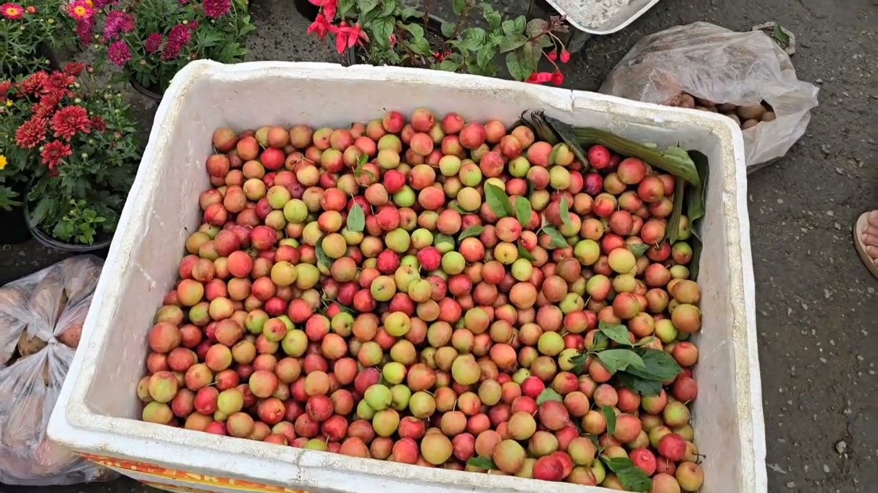 What is this ? Imphal Mao Market