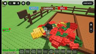 First Time Trying Grow A Garden Gag Roblox Indonesia