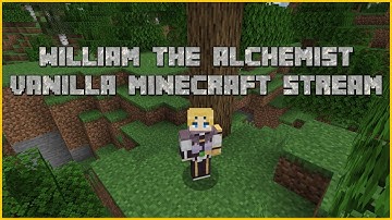 Alchemist Making His Workshop in Minecraft (Playing on 1.17.1)