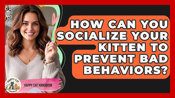 How Can You Socialize Your Kitten To Prevent Bad Behaviors? - Happy Cat Handbook
