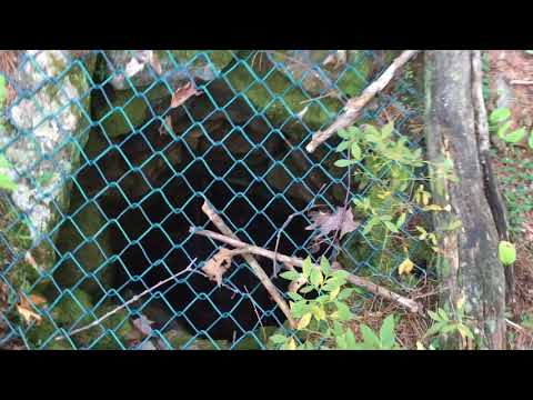 Videó: Flume Gorge, New Hampshire: A teljes útmutató