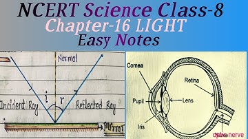 Science  Class 8 LIGHT EASY NOTES ncert