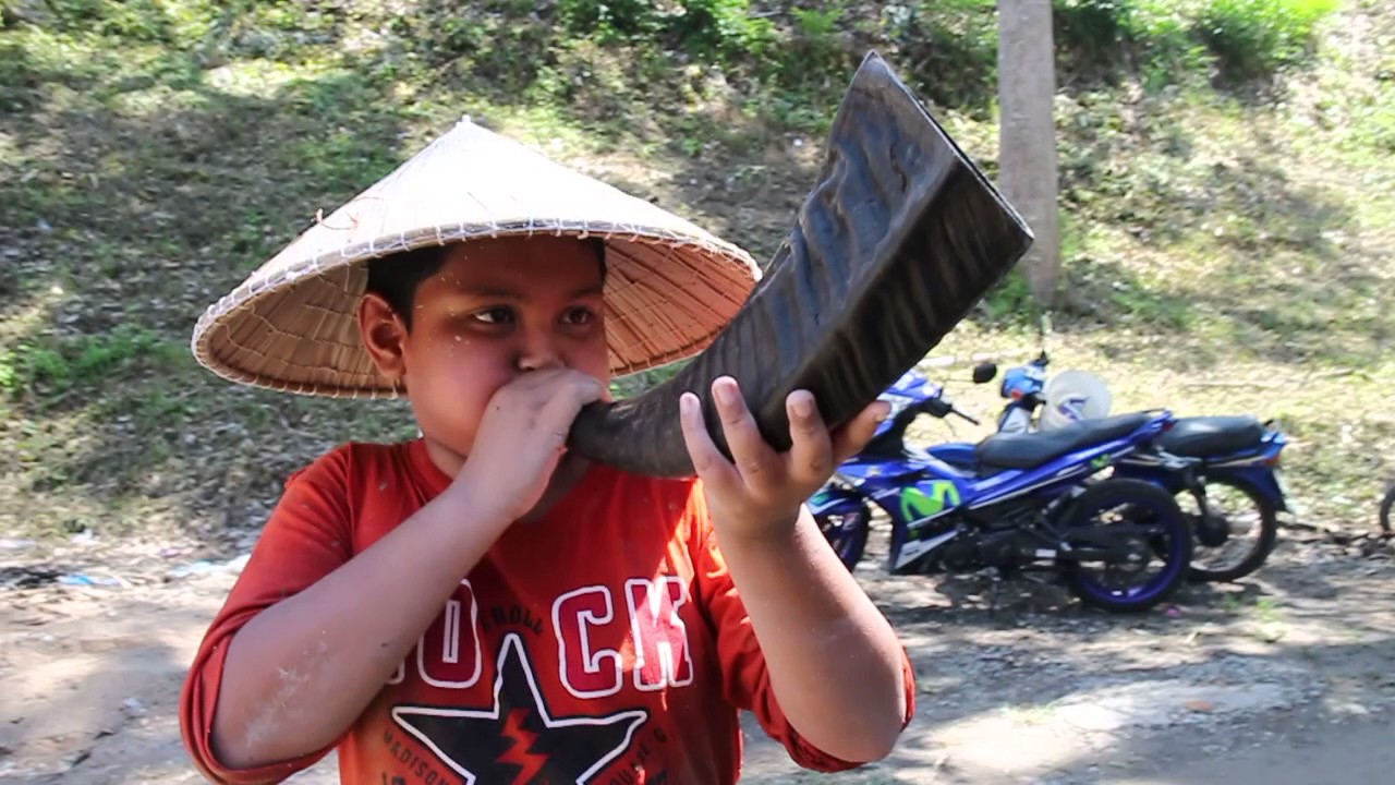 Blowing horn YouTube