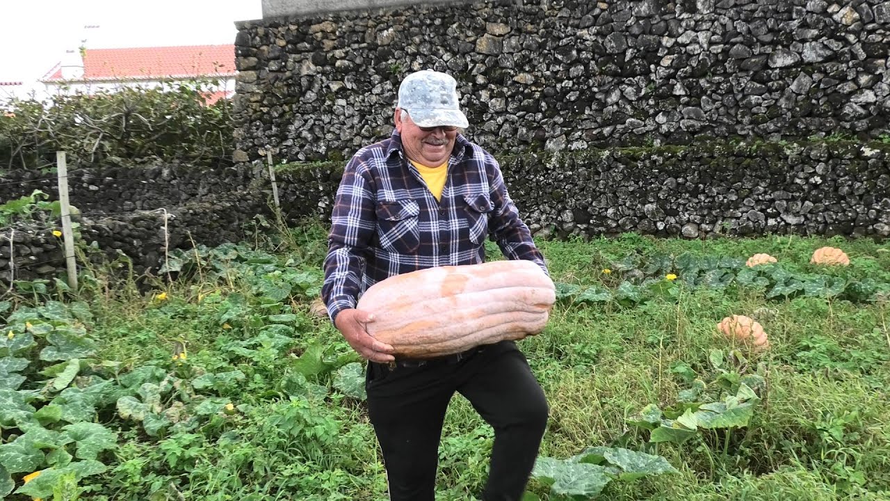 30 10 2025 ABOBRAS GRADAS