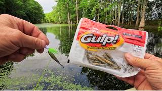 Testing Gulp! Minnows on Jigs for Crappie ❗