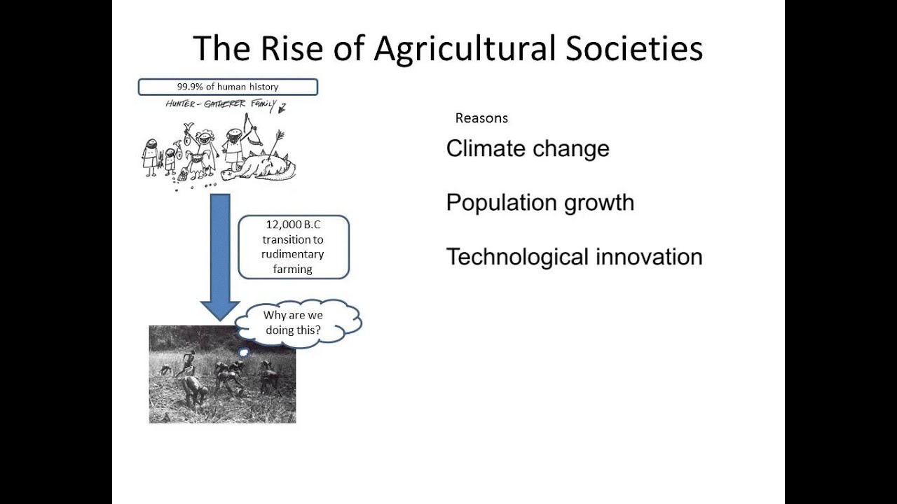Rise of Agricultural Societies YouTube