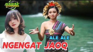 NGENGAT JAOQ ALE ALE TERBARU 2024 HAMKA FEAT SALWA (AUDIO VIDIO OFFICIAL)